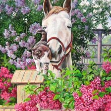 Схема вышивки «№1346133»