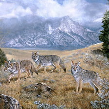 Схема вышивки «№1346455»