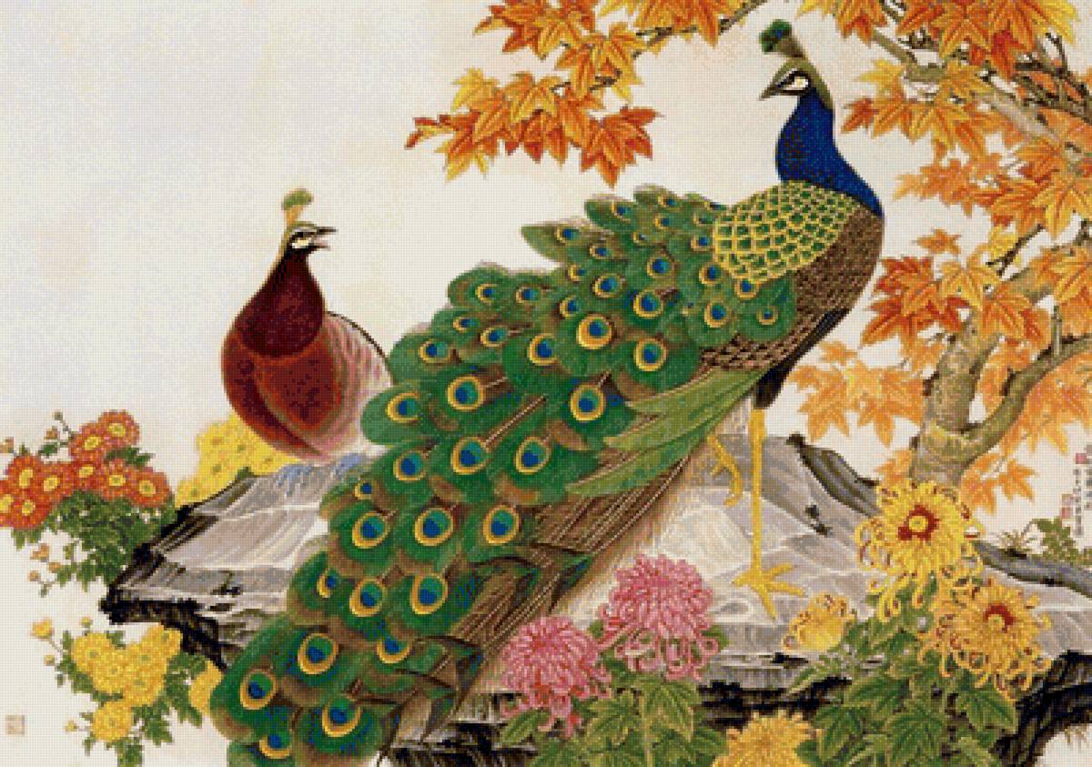 павлины - павлины, цветы - предпросмотр