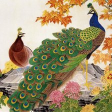 Схема вышивки «павлины»