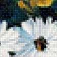 Предпросмотр схемы вышивки «ромашки» (№1346474)