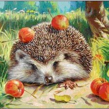 Схема вышивки «Ежик»