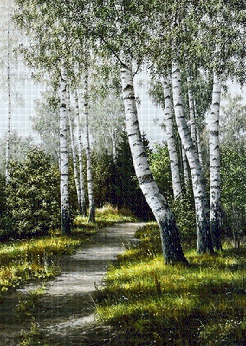 №1346682 - березы, природа, пейзаж - предпросмотр