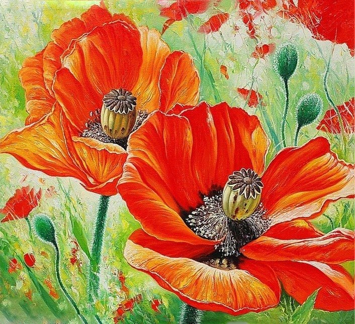 цветы - натюрморт, маки, букеты, цветы - оригинал
