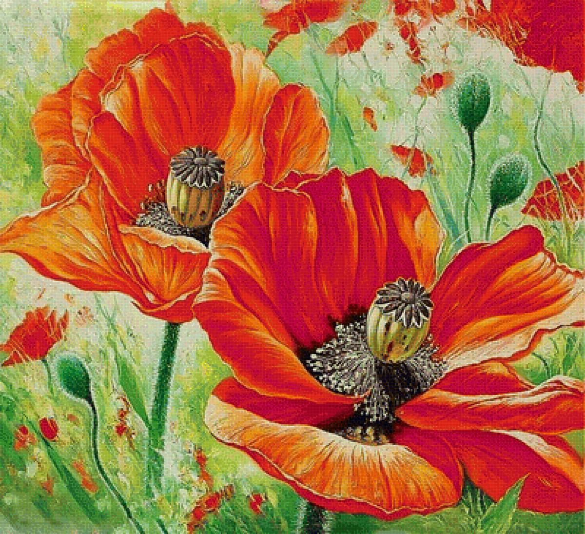цветы - цветы, натюрморт, маки, букеты - предпросмотр