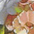 Предпросмотр схемы вышивки «100» (№1347072)