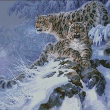 Схема вышивки «,зима»