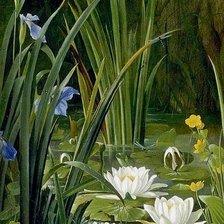 Схема вышивки «Старый пруд1»