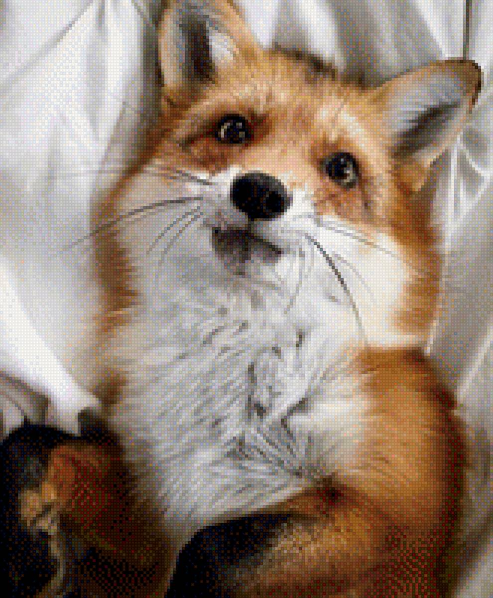 Хитрый лис - предпросмотр