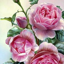 Схема вышивки «Розы мечты 3»