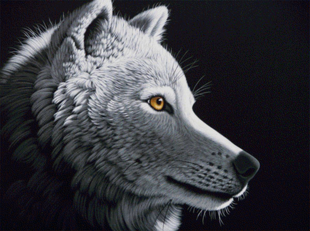 животные - животные, хищники, волки - предпросмотр