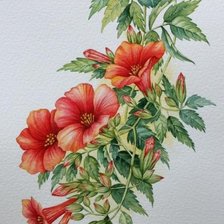 Схема вышивки «цветы»