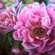 Схема вышивки «цветы»