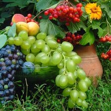 Схема вышивки «натюрморт2»