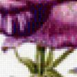 Предпросмотр схемы вышивки «цветы» (№1348373)