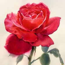 Схема вышивки «Красная роза»