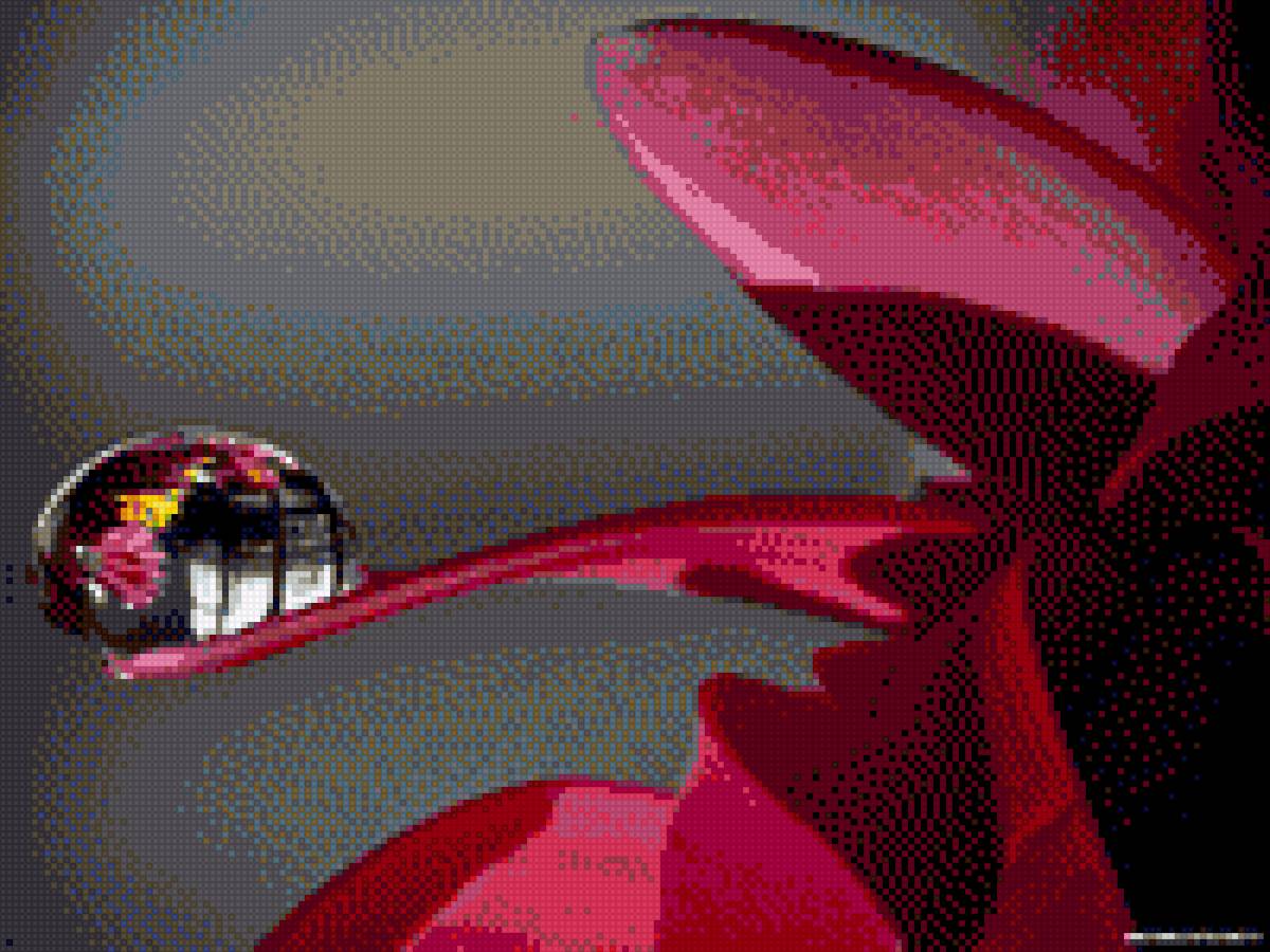 Отражение - отражение, капля, роса - предпросмотр