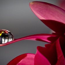 Схема вышивки «Отражение»