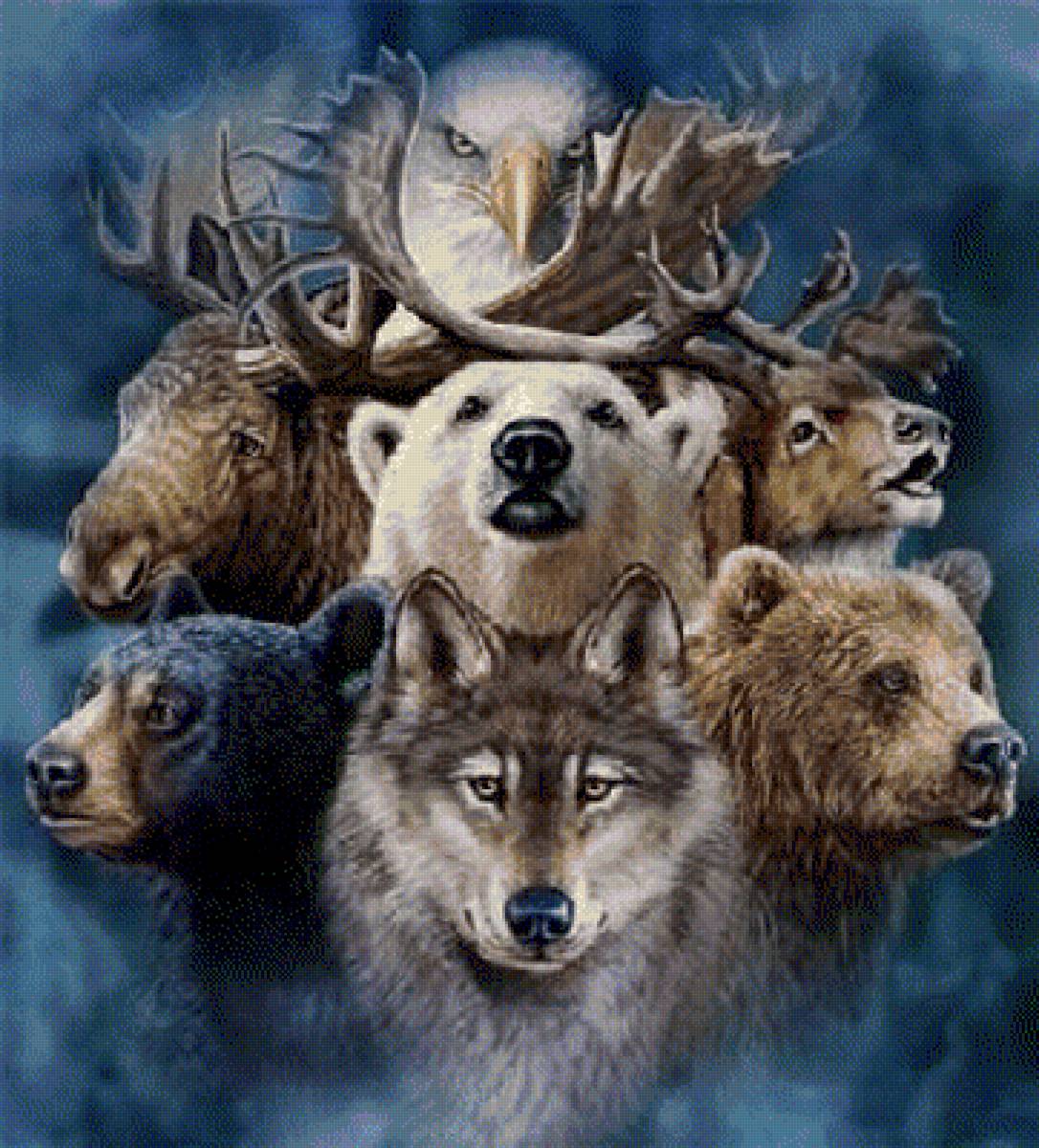 animales... - предпросмотр