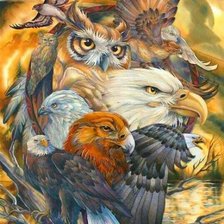 Схема вышивки «птицы»