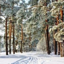 Схема вышивки «зимушка»