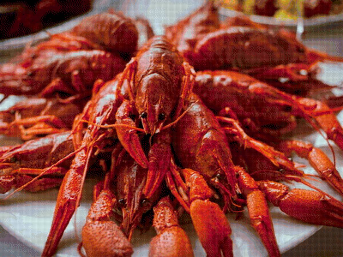 раки - предпросмотр