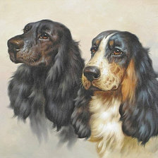 Схема вышивки «404»