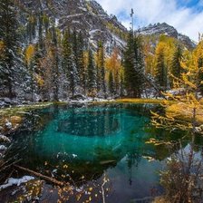 Схема вышивки «Первые заморозки»