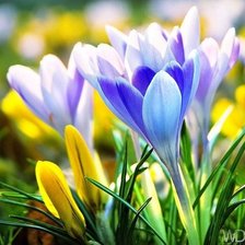 Схема вышивки «Весна»