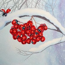 Схема вышивки «зимняя фантазия»