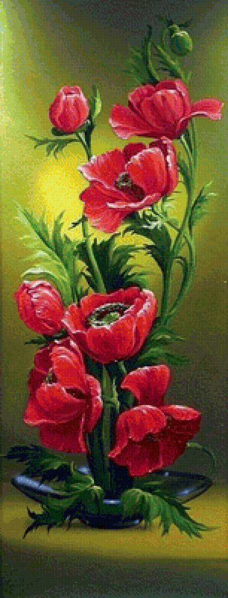 vlčie maky - предпросмотр