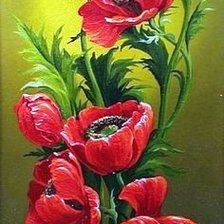 Схема вышивки «vlčie maky»