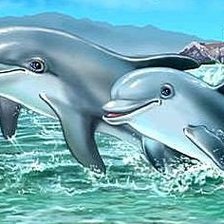 Схема вышивки «Дельфины»