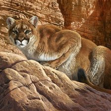 Схема вышивки «пума»