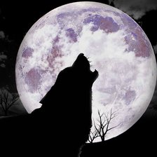 Схема вышивки «волк»