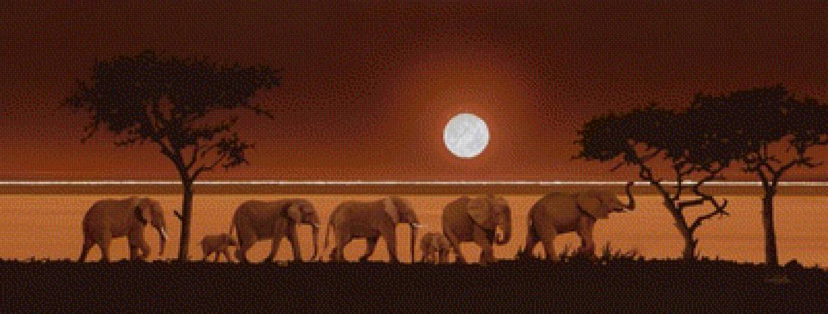 слоны в саванне - слоны - предпросмотр