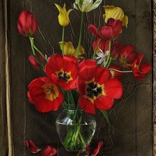 Схема вышивки «маки»