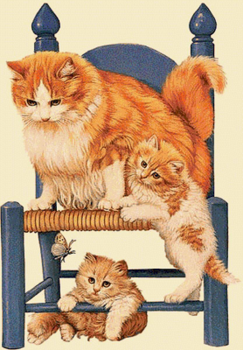 Котики - животные - предпросмотр