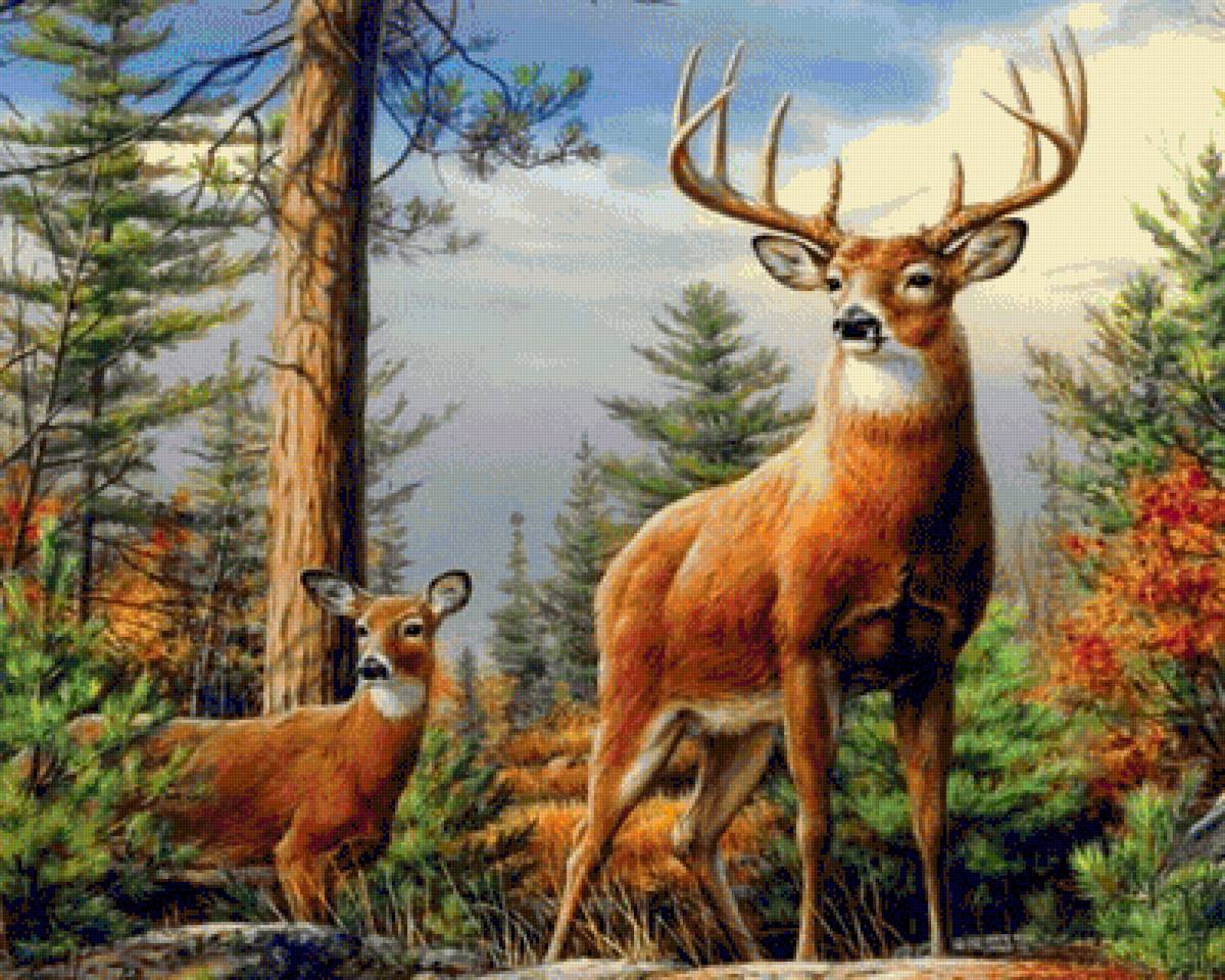 lОлени - пейзаж, олени - предпросмотр