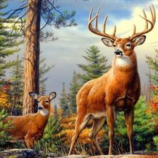 Схема вышивки «lОлени»