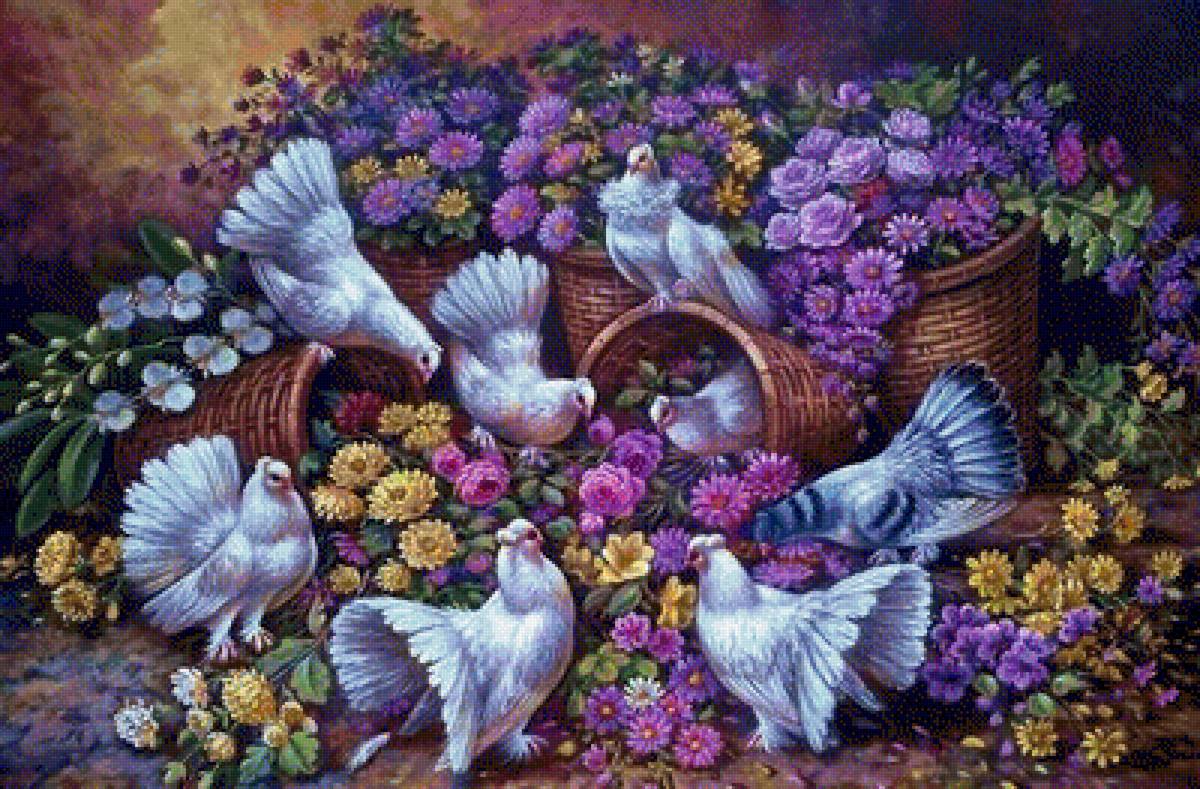 голуби - предпросмотр