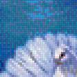 Предпросмотр схемы вышивки «голуби» (№1352924)