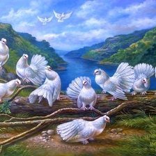 Схема вышивки «голуби»