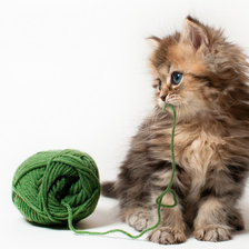 Схема вышивки «Котик с клубком»