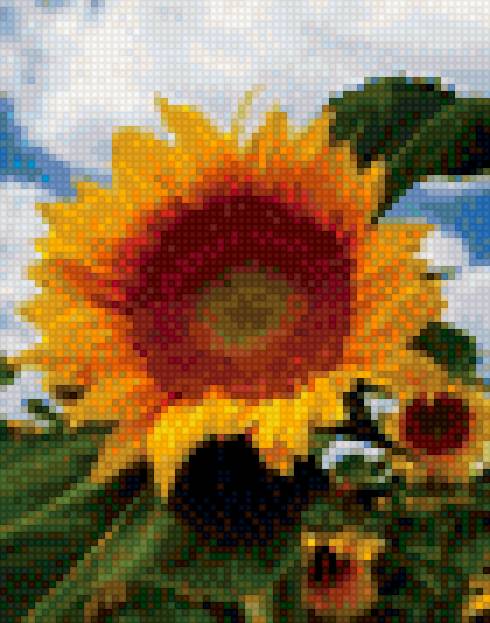 подсолнух - подсолнух - предпросмотр