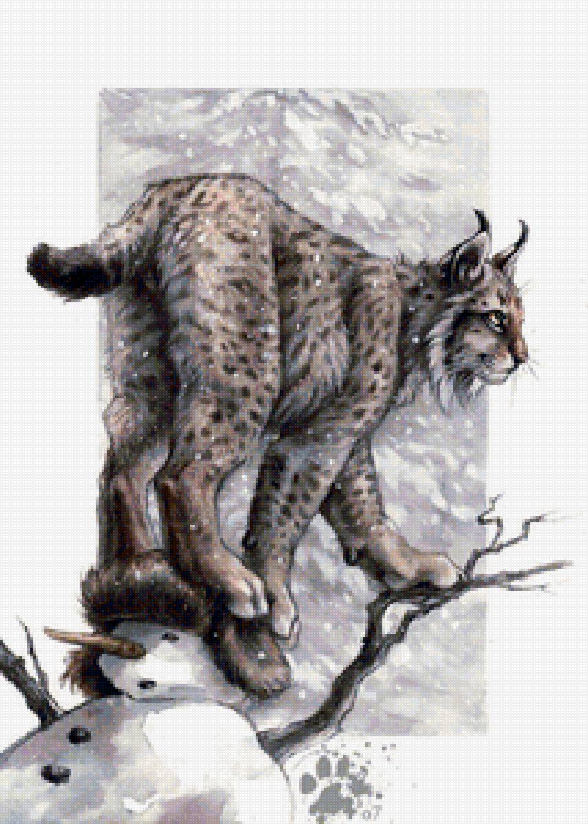 рысь на снеговике - рысь, дикие кошки - предпросмотр