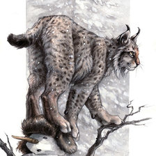 рысь на снеговике