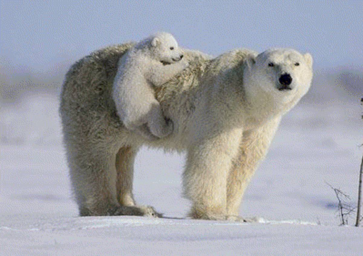 MAMA I DETENYS - природа, дикие животные - предпросмотр