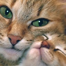 Схема вышивки «MAMA I DETENYS»