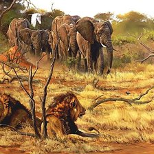 Схема вышивки «саванны»